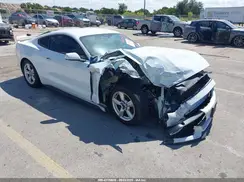 1FA6P8AM1H5239180 2017 FORD MUSTANG