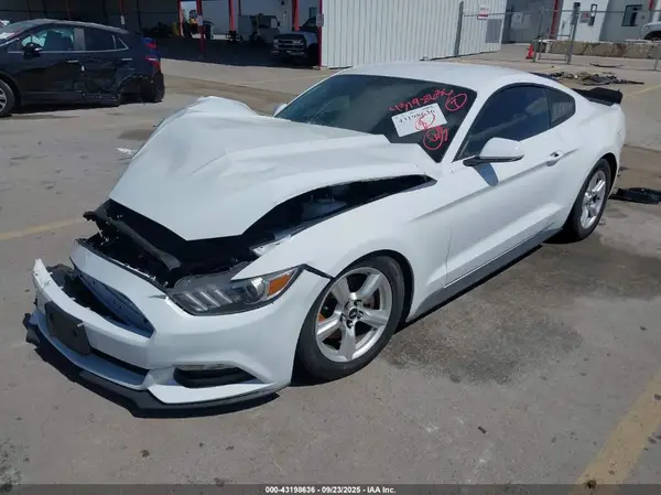 1FA6P8AM1H5239180 2017 FORD MUSTANG - Image 2