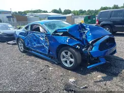 1FA6P8AM1H5264239 2017 FORD MUSTANG