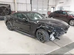 1FA6P8AM1H5265665 2017 FORD MUSTANG