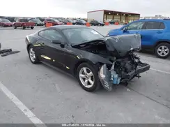 1FA6P8AM1H5270560 2017 FORD MUSTANG