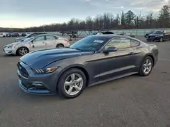 1FA6P8AM1H5276262 2017 FORD MUSTANG