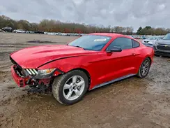 1FA6P8AM1H5289285 2017 FORD MUSTANG