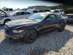 1FA6P8AM1H5306036 2017 FORD MUSTANG
