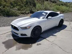 1FA6P8AM1H5312984 2017 FORD MUSTANG