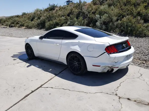 1FA6P8AM1H5312984 2017 FORD MUSTANG - Image 2