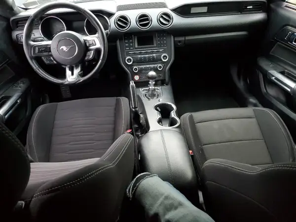 1FA6P8AM1H5318588 2017 FORD MUSTANG - Image 8