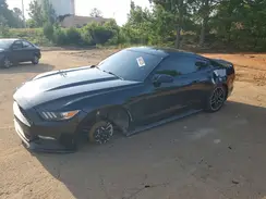 1FA6P8AM1H5338792 2017 FORD MUSTANG