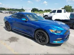 1FA6P8AM1H5340087 2017 FORD MUSTANG
