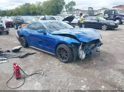 1FA6P8AM1H5342468 2017 FORD MUSTANG