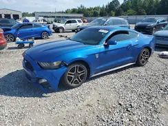 1FA6P8AM1H5342826 2017 FORD MUSTANG