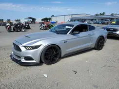 1FA6P8AM1H5344690 2017 FORD MUSTANG