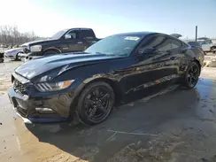 1FA6P8AM1H5346441 2017 FORD MUSTANG