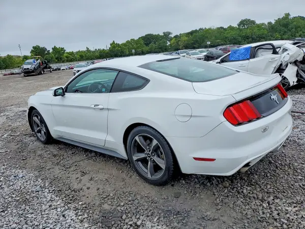 1FA6P8AM2G5204887 2016 FORD MUSTANG - Image 2