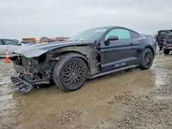1FA6P8AM2G5219731 2016 FORD MUSTANG