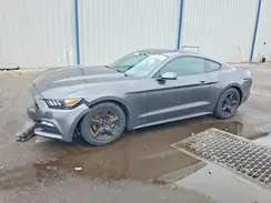 1FA6P8AM2G5271120 2016 FORD MUSTANG