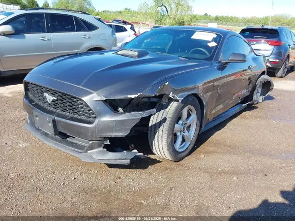 1FA6P8AM2G5290119 2016 FORD MUSTANG - Image 2