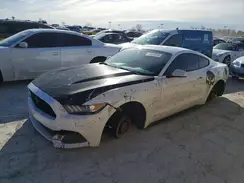 1FA6P8AM2G5308179 2016 FORD MUSTANG