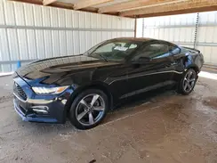1FA6P8AM2G5331915 2016 FORD MUSTANG