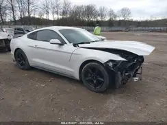 1FA6P8AM2H5202204 2017 FORD MUSTANG