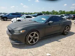 1FA6P8AM2H5203059 2017 FORD MUSTANG