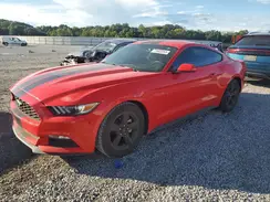 1FA6P8AM2H5230004 2017 FORD MUSTANG