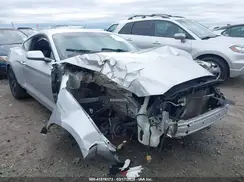 1FA6P8AM2H5236742 2017 FORD MUSTANG