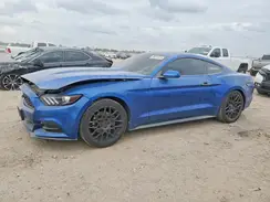 1FA6P8AM2H5247255 2017 FORD MUSTANG
