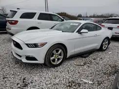1FA6P8AM2H5264931 2017 FORD MUSTANG
