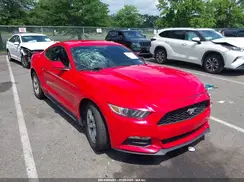 1FA6P8AM2H5269966 2017 FORD MUSTANG