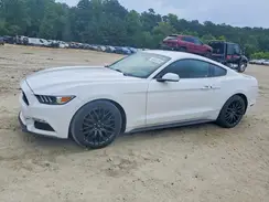 1FA6P8AM2H5276495 2017 FORD MUSTANG