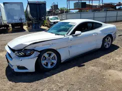 1FA6P8AM2H5283088 2017 FORD MUSTANG