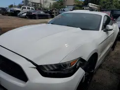 1FA6P8AM2H5286976 2017 FORD MUSTANG