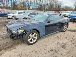 1FA6P8AM2H5289036 2017 FORD MUSTANG
