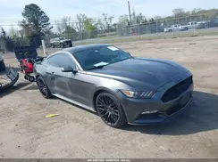 1FA6P8AM2H5290123 2017 FORD MUSTANG