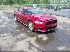 1FA6P8AM2H5294771 2017 FORD MUSTANG