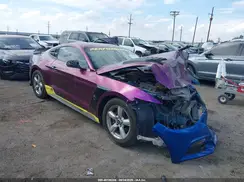 1FA6P8AM2H5309575 2017 FORD MUSTANG