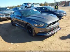 1FA6P8AM2H5338767 2017 FORD MUSTANG