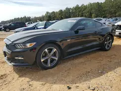 1FA6P8AM3G5207362 2016 FORD MUSTANG