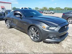 1FA6P8AM3G5220564 2016 FORD MUSTANG