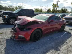 1FA6P8AM3G5229216 2016 FORD MUSTANG