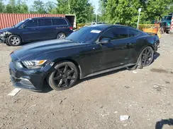 1FA6P8AM3G5241253 2016 FORD MUSTANG