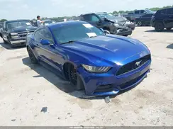 1FA6P8AM3G5252477 2016 FORD MUSTANG