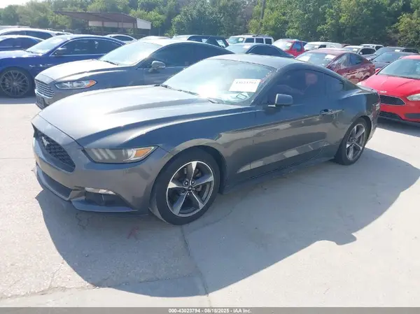 1FA6P8AM3G5256156 2016 FORD MUSTANG - Image 2