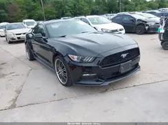 1FA6P8AM3G5256187 2016 FORD MUSTANG