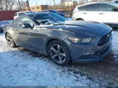1FA6P8AM3G5266184 2016 FORD MUSTANG