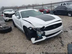 1FA6P8AM3G5282997 2016 FORD MUSTANG