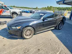 1FA6P8AM3G5296088 2016 FORD MUSTANG