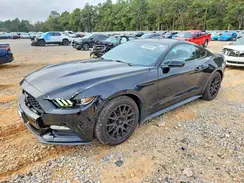 1FA6P8AM3G5302570 2016 FORD MUSTANG