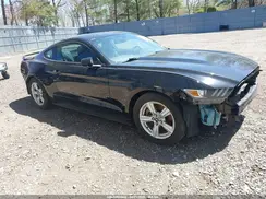1FA6P8AM3H5202597 2017 FORD MUSTANG